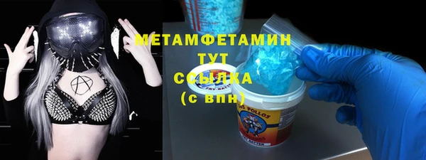 индика Краснослободск