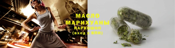 индика Краснослободск