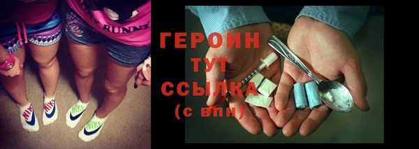 индика Краснослободск