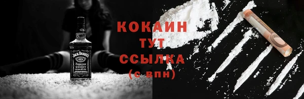 индика Краснослободск