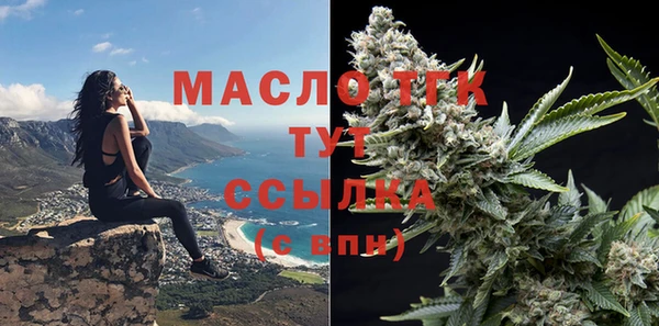 индика Краснослободск