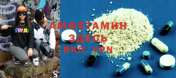 индика Краснослободск