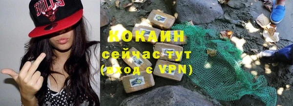 индика Краснослободск