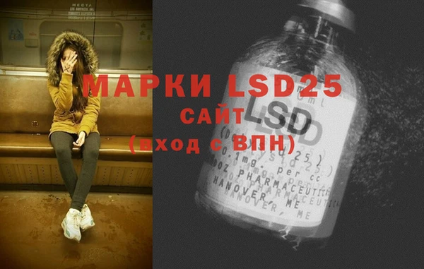 индика Краснослободск