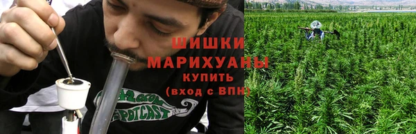 индика Краснослободск
