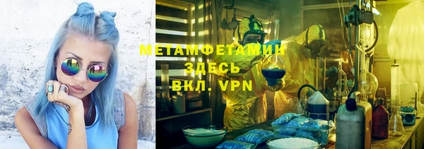индика Краснослободск