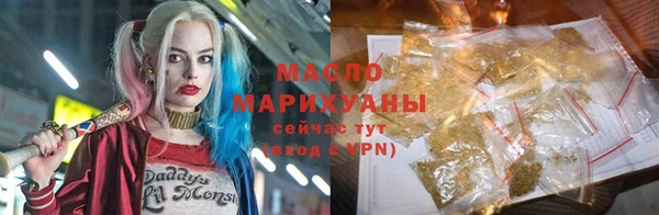 индика Краснослободск