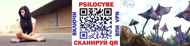Галлюциногенные грибы Psilocybe Купить где Лобня
